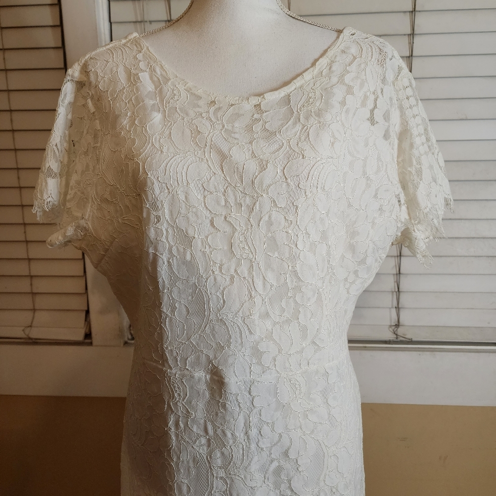 MSLG Womens Floral Lace Overlay Dress - Picture 11 of 14